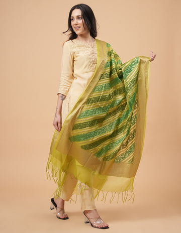 Office Wear Banarasi Dupatta Green